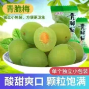 脆口青梅 酸脆梅 涼果蜜餞 醃製果脯 水果乾 酸甜爽口 蜜餞果脯 休閒零食 獨立包裝
