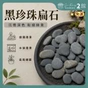 【欣榮二館免運快速出貨】黑珍珠扁石 霧面黑膽石 特黑扁石 鋪面石 鵝卵石 園藝 陽台 庭院舖石 水族