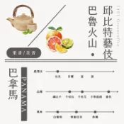 巴拿馬 巴魯火山 邱比特藝伎 30%藝妓 瑰夏種 生豆500克 精品咖啡 莊園單品 零售批發 灰焉生豆