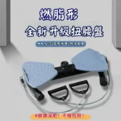 無限極台灣館 💪告別大肚腩💪免運 扭腰盤 扭腰機 扭扭盤 扭腰轉盤 旋轉盤 扭腰器 健腹盤 健身盤 扭腰旋轉盤 大肚