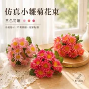 假花 波斯菊 小雛菊 野菊花 塑膠花 太陽花 迷你仿真花束 人造花 向日葵 菊花 擺盤 點綴 拼盤 赤身裝飾 冷盤