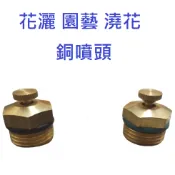 台灣製造 銅噴頭 斜噴 平噴 園藝 澆花 花灑 4分 固定噴頭 噴頭 草皮 通用 降溫 灑水 室溫 室內 噴水頭 噴水