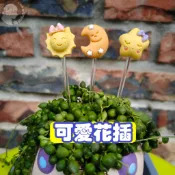 【Sparkling】植物擺飾 可愛多肉擺件 日月星造型花插 花盆小裝飾 多肉盆栽景觀 微景觀 造景配件 園藝花園擺件