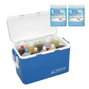 (店+)【CAPTAIN STAG】日製保冷冰桶33L M-8159(戶外露營野餐保冷箱 釣魚冰箱 烤肉冰桶 保冷行動冰箱)
