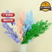 【售後保障】永生花蓬萊松100克/束雪松婚慶場景文松保鮮花材幹花