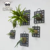 🔥全台最低價 歡迎批發🔥植床板 附掛鉤帶螺絲 鹿角蕨板 植物板植物框 蕨類上板神器 塑膠植物板透氣板 蕨類石斛蘭花均可