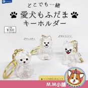【M.M小舖】『現貨』 Rainbow 轉蛋 扭蛋 愛犬透明吊飾 玻璃 小狗 狗罐罐 吊飾 毛孩子 公仔 全3款
