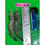 不包冰小白蝦，約51-65尾斤小白蝦