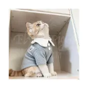 (店+)小熊圖案刺繡舒適保暖兩腿貓咪衣服寵物鈕釦翻領藍色洋氣貓狗通用