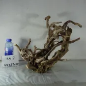 Q 水草 水族 沉木 爬寵箱青龍石 魚缸造景杜鵑根 水草膠