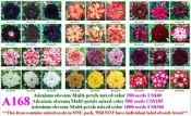 A168重瓣沙漠玫瑰種子★綜合品種★一包15粒 特價100元