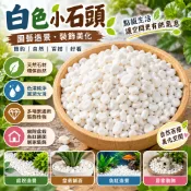 【微景小舖】白色小石頭 魚缸裝飾造景 鋪地石頭 雨花石 鵝卵石 微景觀擺件 多肉植物苔蘚生態瓶配件 景觀盆栽