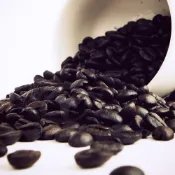 【yesgogogo 即食購】【Gustare caffe】精選薇薇特南果咖啡豆(Huehuetenango)-1磅