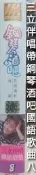 (VHS) 8 - 三立KTV 伴唱帶 / 鋼琴酒吧 八