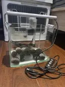 【二手】退坑 出清 水族用品 周邊 ㄇ型缸 外掛過濾器 麥飯石 魚缸燈 小型 桌上 孔雀魚 燈科魚  魚缸約 18 x