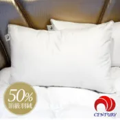 悠遊山水戶外生活館 【CENTURY 臺灣 立邊50/50羽毛枕 (單入)】 SG5001/羽絨枕