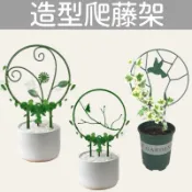 《台灣現貨》造型爬藤架 花鳥架、造型花架、黃金葛、山烏龜、龜甲龍、鐵線蓮花架、爬藤小架子、攀藤綠植支架、常春藤