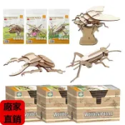 桃園發出✨木製3D立體拼圖 DIY昆蟲模型帶展臺 獨角仙鍬形蟲 美術課教材 幼兒科普禮物 拼裝材料包勞作手做 益智玩具小