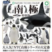 〖西森〗(現貨) NTC圖鑑-南極大陸生命紀行 IKIMON 扭蛋 轉蛋 皇帝企鵝 虎鯨 豹海豹 鳳冠企鵝 全6款
