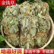 臺灣出貨🏆廣西野生廣金錢草大葉廣金錢草茶新鮮切段幹凈幹貨整捆煲湯泡水