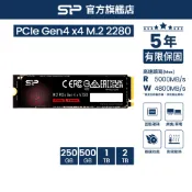SP SSD M.2 PCIe NVMe Gen4x4 UD90 250GB 500GB 1T 2T 固態硬碟 廣穎
