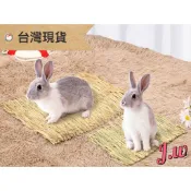 兔子草墊 草墊 兔子腳墊 牧草墊 提摩西草墊 兔子玩具 草墊 兔子磨牙 寵物