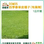 【綠藝家】00M05四季春草皮種子1公斤裝(有藥劑處理)(四季青草皮種子)速綠草 全綠草 四季青