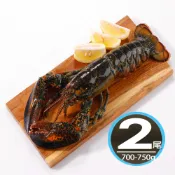 【yesgogogo 即食購】【華得水產】活凍波士頓龍蝦2尾(700-750g/尾/特大尾)