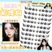 EFP大美人-2026新❤️夢鹿正品超美犬系狐狸眼斜飛分段超自然濃密三部曲~免膠自黏假睫毛10組金羽夾組