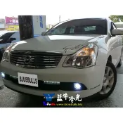 【藍牛冷光】H11 魚眼霧燈 TEANA LIVINA SENTRA SYLPHY ROGUE JUKE iTIIDA