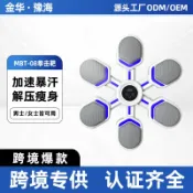 huangjinlang 【專業訓練】拳擊沙袋 散打沙包 牆靶 拳擊機 拳擊器材 拳擊訓練 打擊靶 成人兒童適用 家用專業款 吸盤壁掛式 高密度填充 耐磨抗打
