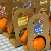 ✨臺灣有貨 24H✨水果包裝盒橙子蘋果幼兒園開學單雙個手提牛皮紙包裝袋通用紙盒