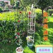 🌈臺灣優選🌈歐式庭院爬藤架陽臺綠植支架可拚接多層飄香藤薔薇花架子室內家用 H38Csfwg