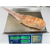 「饕客食品」熟凍龍蝦/尼加拉瓜/巴西/（可7-11店取）熟凍龍蝦/龍蝦/15P/箱/電子發票