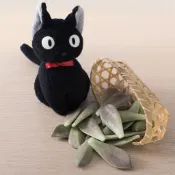 【喵菜園】   石蓮花   冷藏寄件