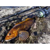 DAIWA 25新品 HRF SX 頂規 根魚竿 大根竿 Rockfish 重根 石班 底棲 黑鯛 鈦導環 X45