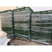 現貨台灣製 四格籃 運輸籃收納箱 可堆疊  搬運箱 塑膠籃 水果籃 番茄箱標準物流箱網格搬運籃密孔塑膠箱