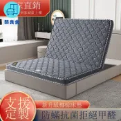 築良舍 免運/公司貨 【床墊】家用床墊 純天然椰棕床墊 棕墊 1.8m1.5偏硬棕櫚乳膠席夢思兒童折疊床墊 定制 可開發票 工廠現貨直銷 售後保障 全館折扣 店長新品推薦 6z328