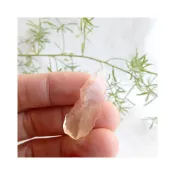 (店+)石器時代利比亞隕石-1-0126