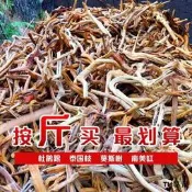 天然沉木杜鵑根精品棲根魚缸水草缸雨林缸樹枝樹根造景微景觀素材