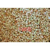 鴿子飼料/寵物鼠/綜合鼠飼料單味小包裝15-25元/100克（可以種植,“人”可食用）