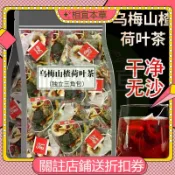 ✨相宜本草 100包烏梅山楂荷葉陳皮茶 山楂烏梅桑葚茶  養生茶 獨立三角茶包 草本茶 漢方茶 花草茶 痠甜可口