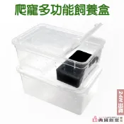 爬寵多功能飼養盒 爬蟲盒 蠶寶寶守宮角蛙烏龜兩棲爬寵蜘蛛蝸牛蜈蚣獨角仙甲蟲蠍子蜥蜴毛毛蟲 爬蟲飼養箱 外出盒 典贊創意