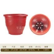 1尺2/歐盆/歐洲花盆/塑膠盆/圓盆/種植/育苗盆/台中/荃盈園藝資材行/台灣現貨