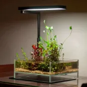 桌上型LED【新莊/五股/青島】千尋 CII RGB 獨立調色 水草 白燈 夾燈 全光譜 可調光 水草燈 底座