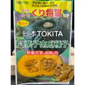 【現貨。不用再問】F1 日本TOKITA 栗子南瓜種子 原廠包裝( 30粒) 夾鏈袋裝 板栗南瓜 將軍南瓜 栗南瓜