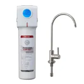 (店+)【林內】RWP-F100 廚下型單道式淨水器 (含龍頭) 基礎濾淨 廚下型安裝 開水即濾