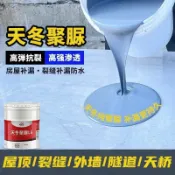 領邦五金配件 天冬聚脲防水塗料防腐水池魚池天臺游泳池頂裂縫漏水補漏材料膠水