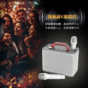 (店+)【DIKE】家庭KTV卡拉OK 藍芽音響 DIKE行動手提式 DSO580 K歌音箱 露營 氣氛 無線麥克風 雙麥連機款 藍芽麥克風