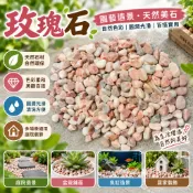 【微景小舖】彩繪石頭 玫瑰色石頭 生態瓶DIY造景必備 小石頭微景觀多肉植物盆栽裝飾 苔蘚微景觀擺件 彩繪石 DIY組盆